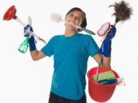 Attitudes Towards Household Cleaning - UK - March 2009