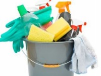 Household Cleaning: The Market - US - June 2011