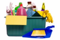 Household Cleaning Products - Pan-European Overview - August 2004