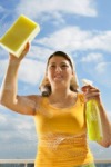 Household Cleaning Products: The Consumer - US - June 2008