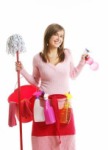 Household Cleaning Products: A Pan-European Overview - August 2008