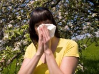Allergies and Allergy Remedies  - US - February 2009