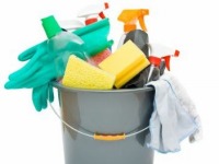 Household Cleaning Products - Pan-European Overview  - July 2009