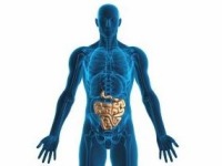 Gastrointestinal Remedies: Digestive and Immunity Health - US - April 2010