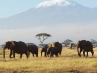 Travel and Tourism - Tanzania - February 2011