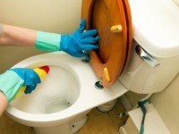 Bleaches and Disinfectants - UK - March 2012
