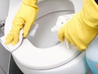Toilet Cleaning and Care - UK - September 2012