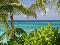 Travel and Tourism - Bahamas - May 2012