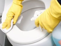 Toilet Cleaning - UK - October 2013