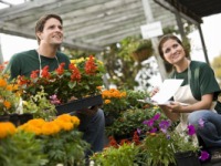 Garden Products Retailing - UK - June 2015