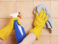 Household Surface Cleaners - US - November 2015