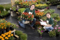 Garden Products Retailing - UK - June 2016