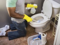 Toilet Cleaning, Bleaches and Disinfectants - UK - April 2016