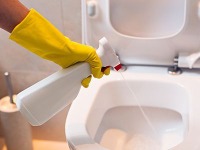 Toilet Cleaning, Bleaches and Disinfectants - UK - April 2017