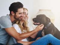 America's Pet Owners - US - August 2018